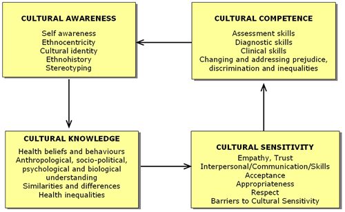 cultural-competence-in-education