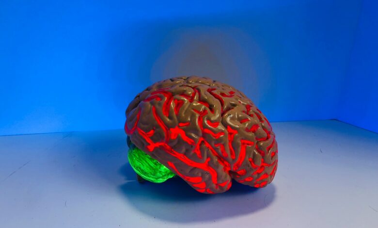 brain figurine