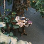A wooden bench sitting under a tree filled with books