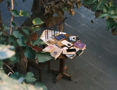 A wooden bench sitting under a tree filled with books