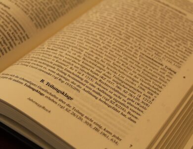 attorney, law, text of the law, lawyer, paragraph, jus, regulation, codex, regulations, dish, paragraphs, rule, legal action, claim, division of lawsuit, subjective right, objective law, guideline, court of justice, the constitutional court, the administrative court, supreme court, civil right, civil case, inheritance, bid, ban, to study, jurisprudence, justice, read, european, legal situation, a book, international right, austria, legal situation in austria, law, lawyer, lawyer, lawyer, lawyer, lawyer, paragraph, paragraph, paragraph, regulation, regulations, supreme court, inheritance, inheritance, inheritance